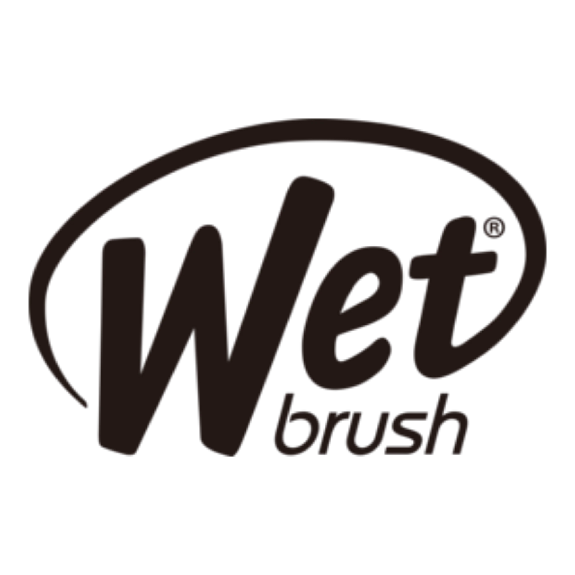 Wet Brush