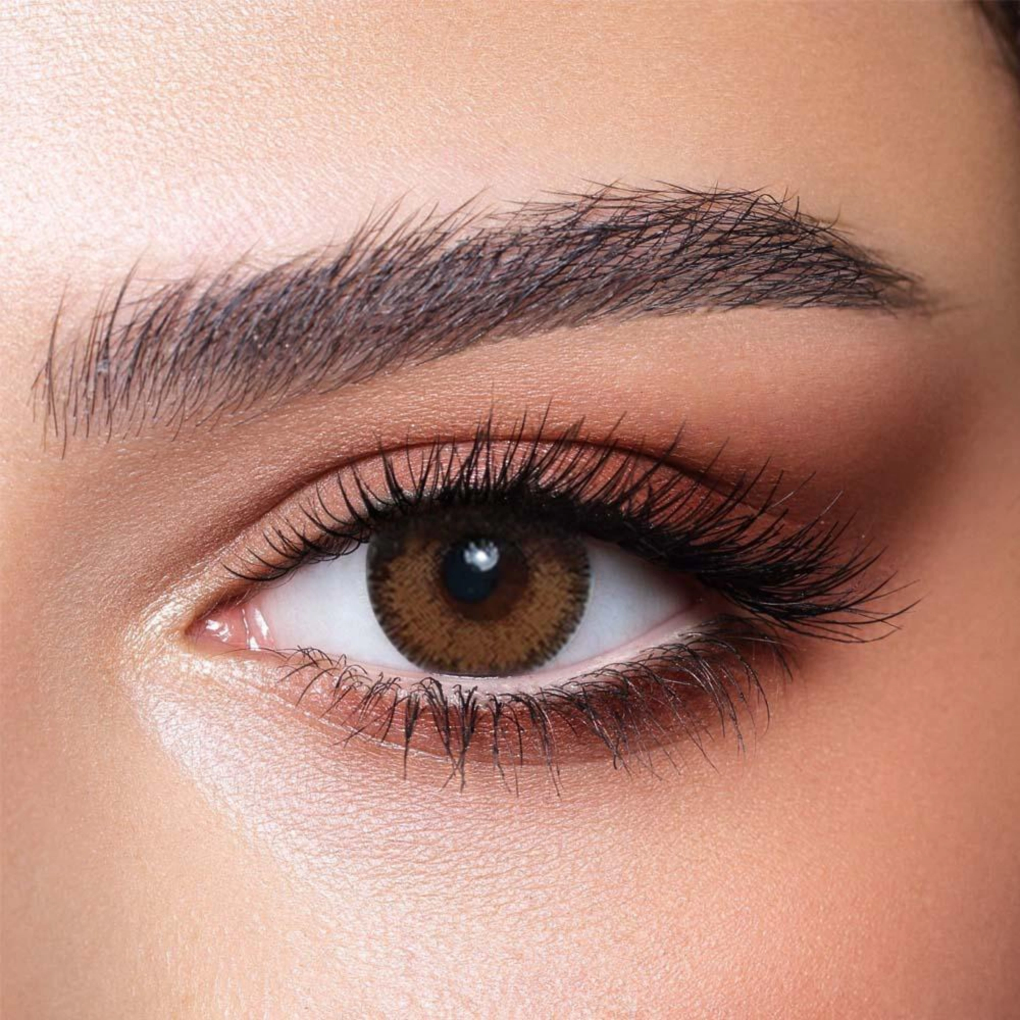 Bella color contact lenses PINE