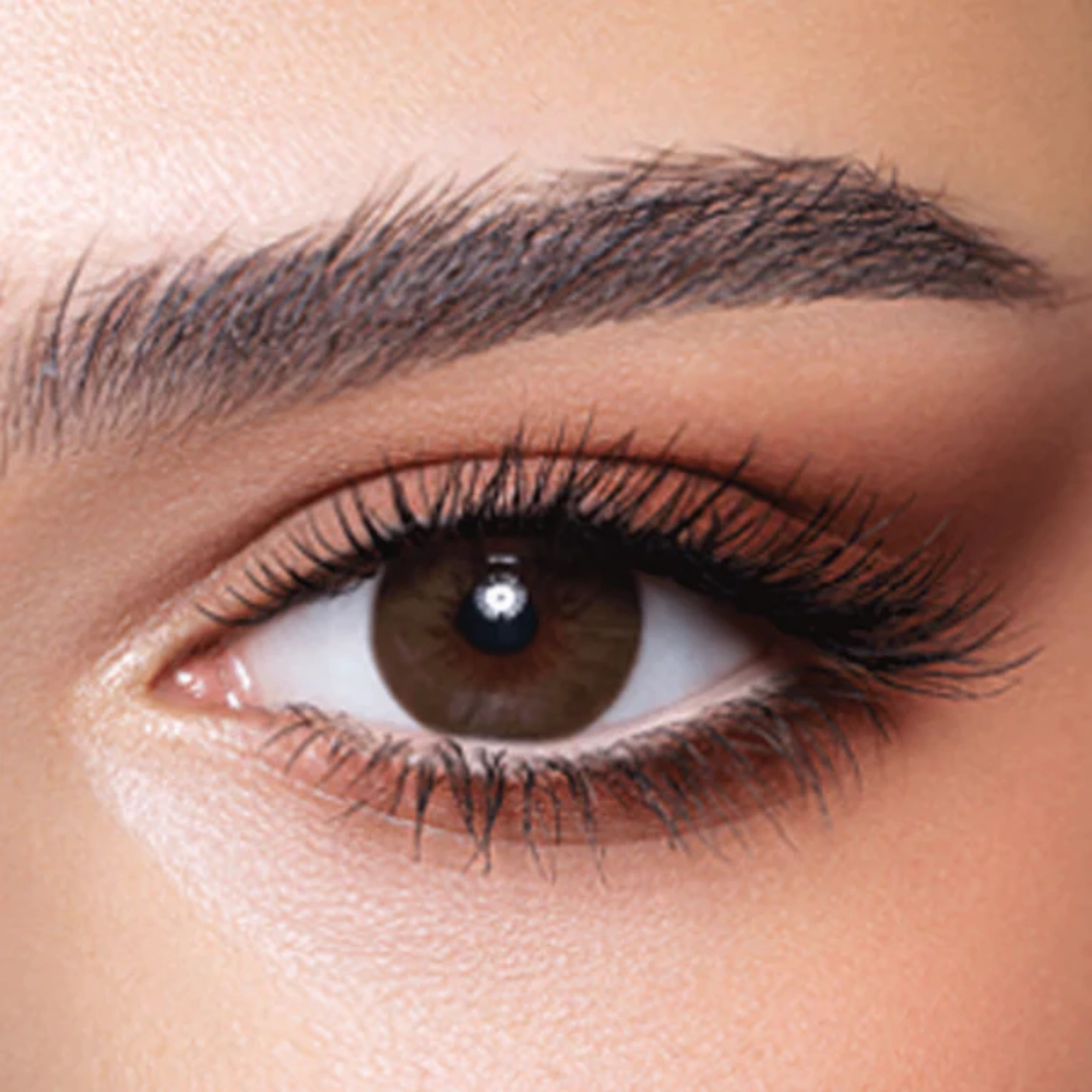 Bella color contact lenses COVE
