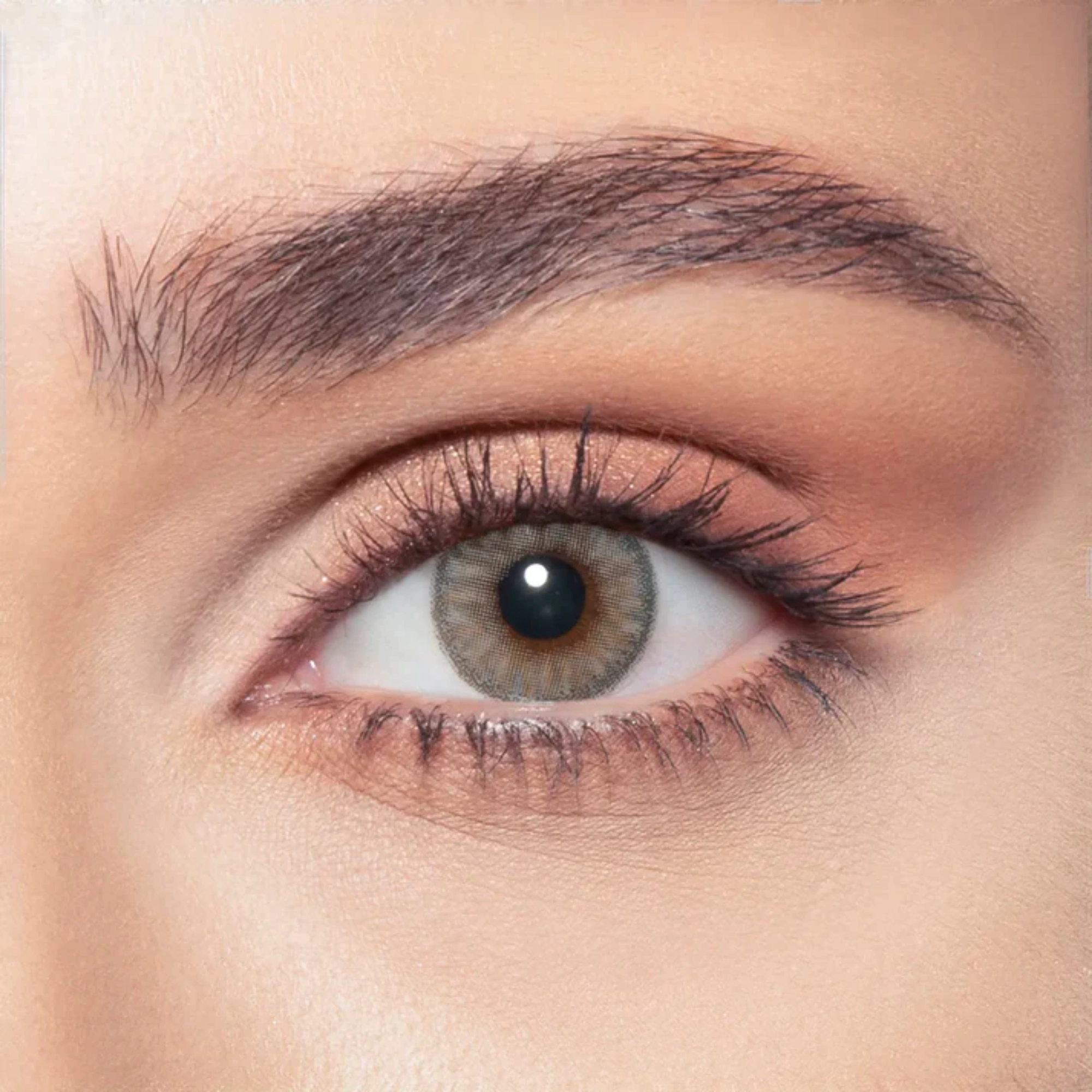 Bella color contact lenses Rosewood