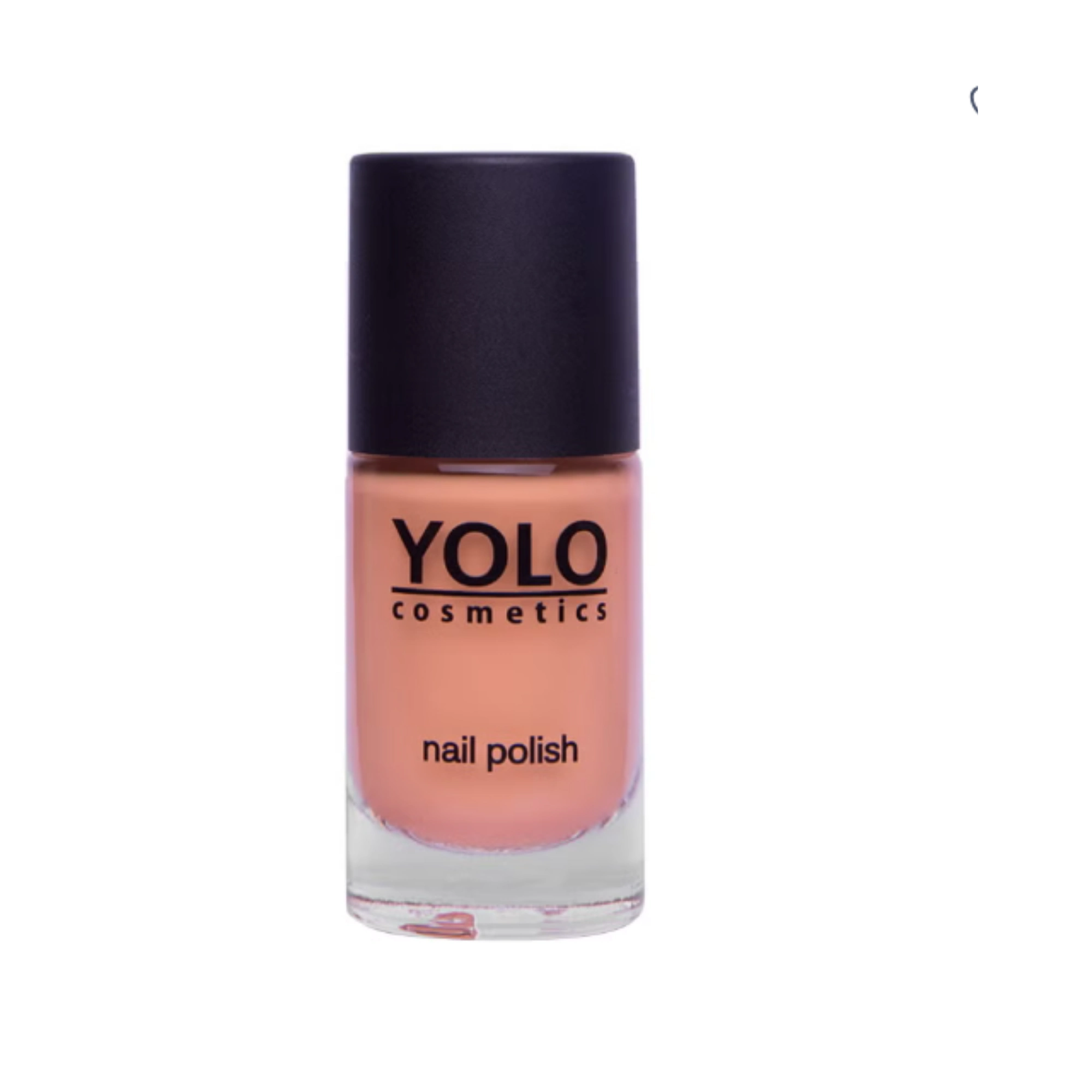 COCO BEAUTY NAIL POLISH 198