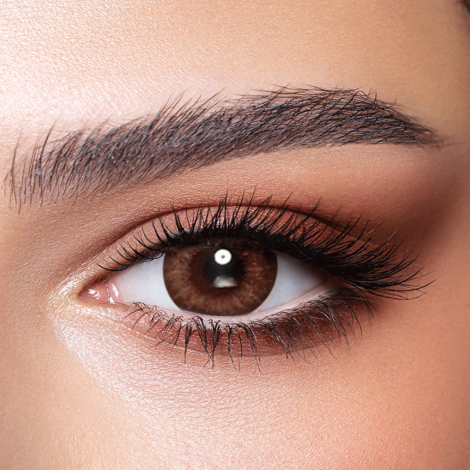 Bella color contact lenses Almond Brown