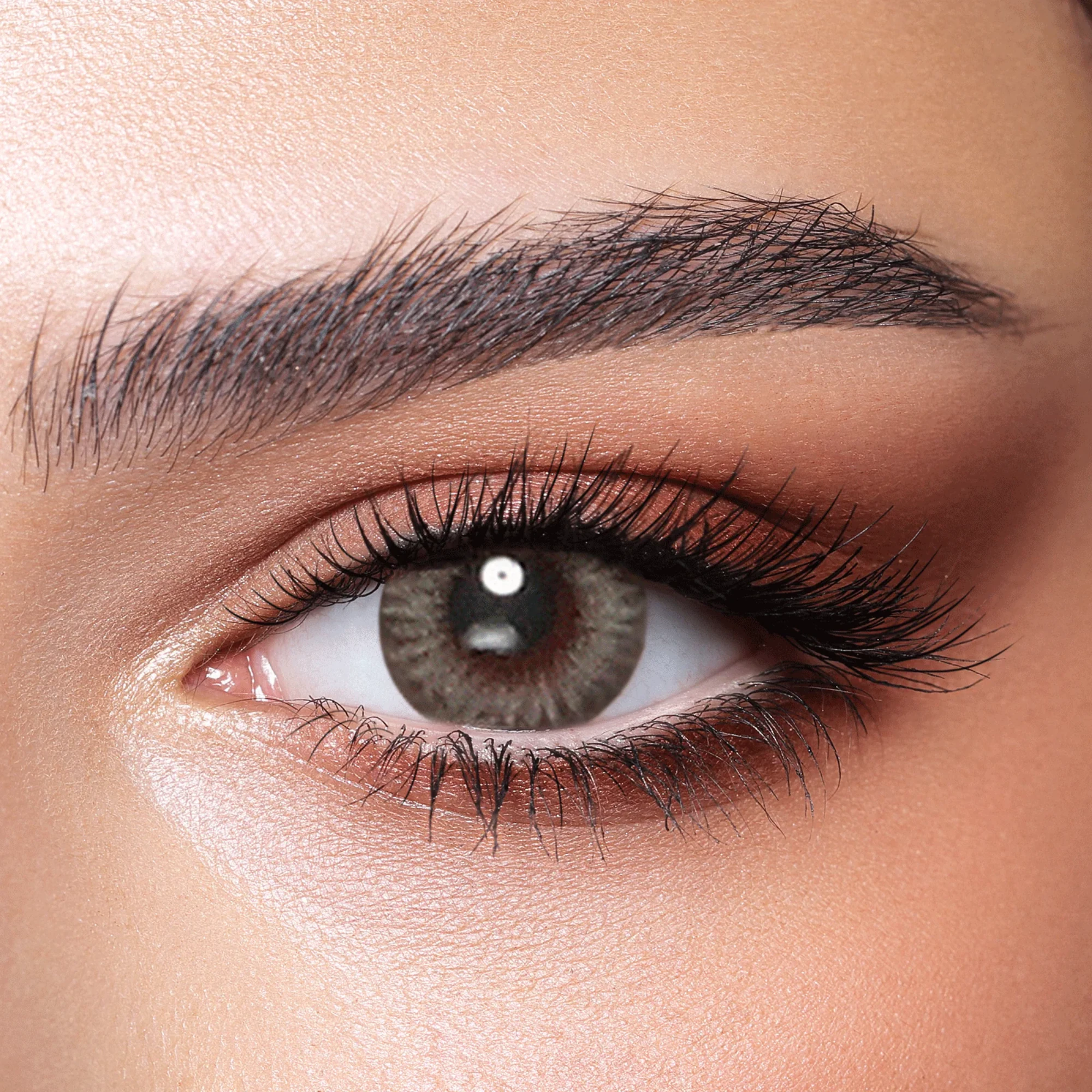 Bella color contact lenses Platinum grey