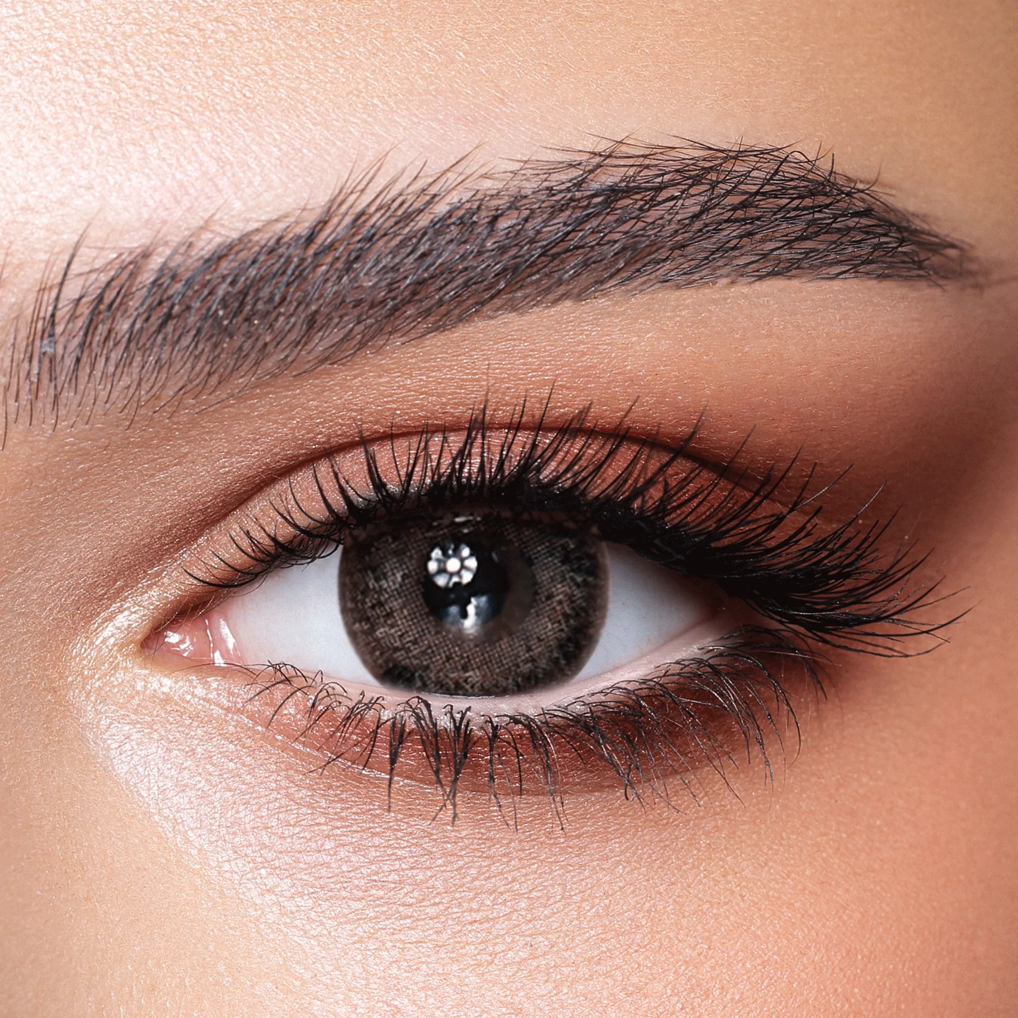 Bella color contact lenses Ash Brown