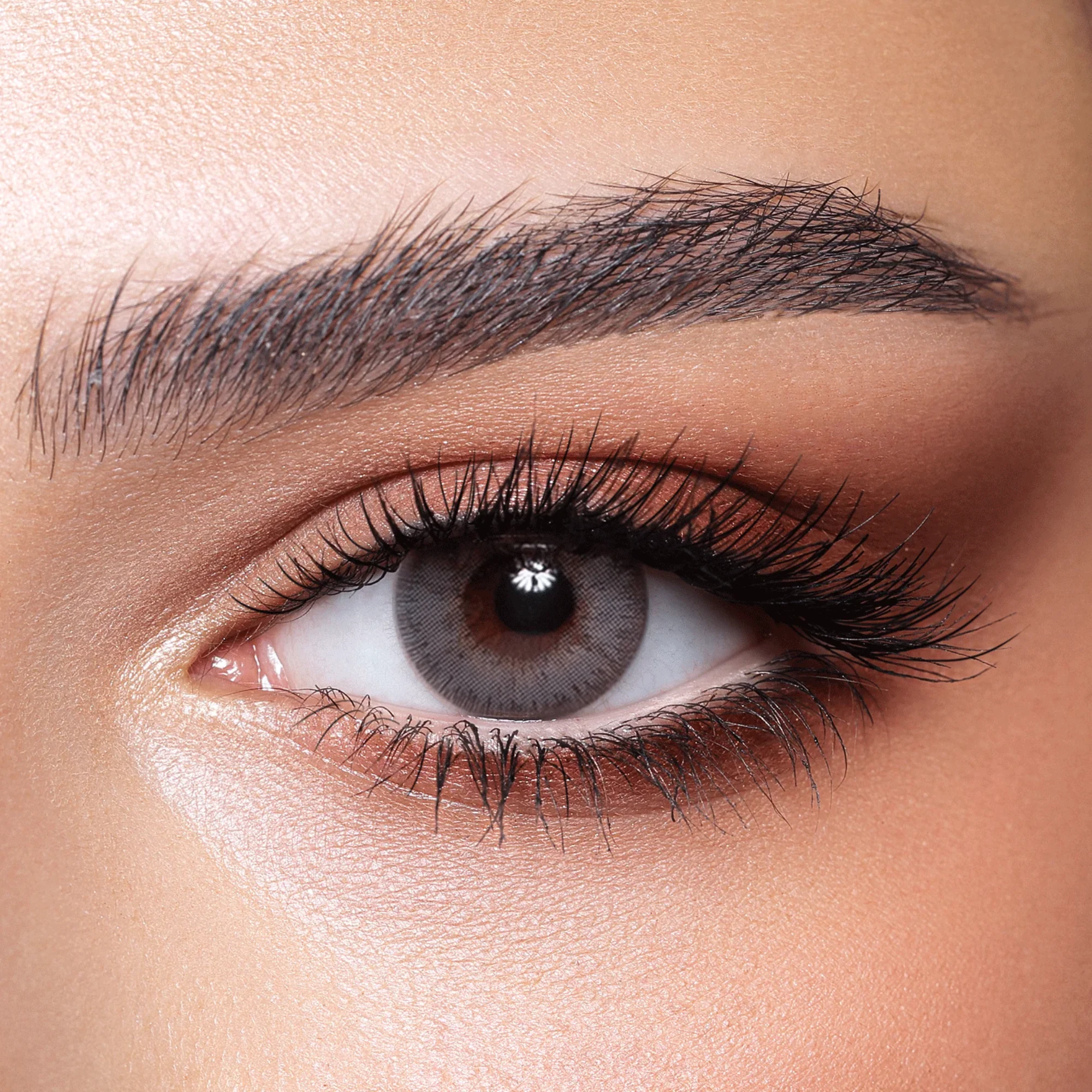 Desio contact Lenses Bold Gray