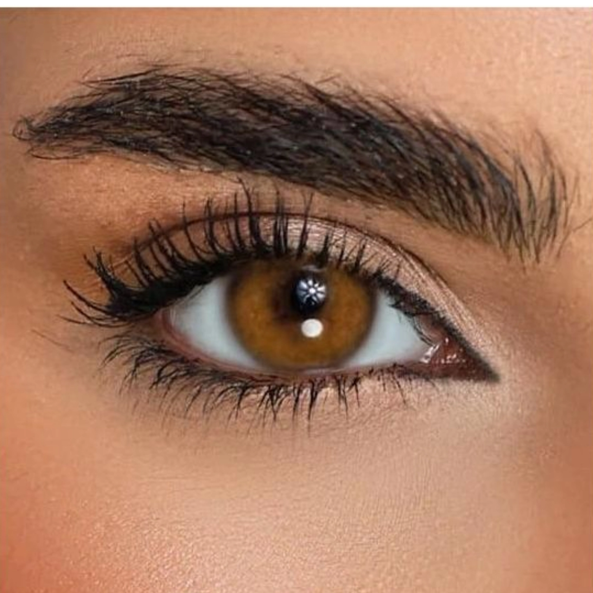 Desio contact Lenses DEEP BROWN 5PIC