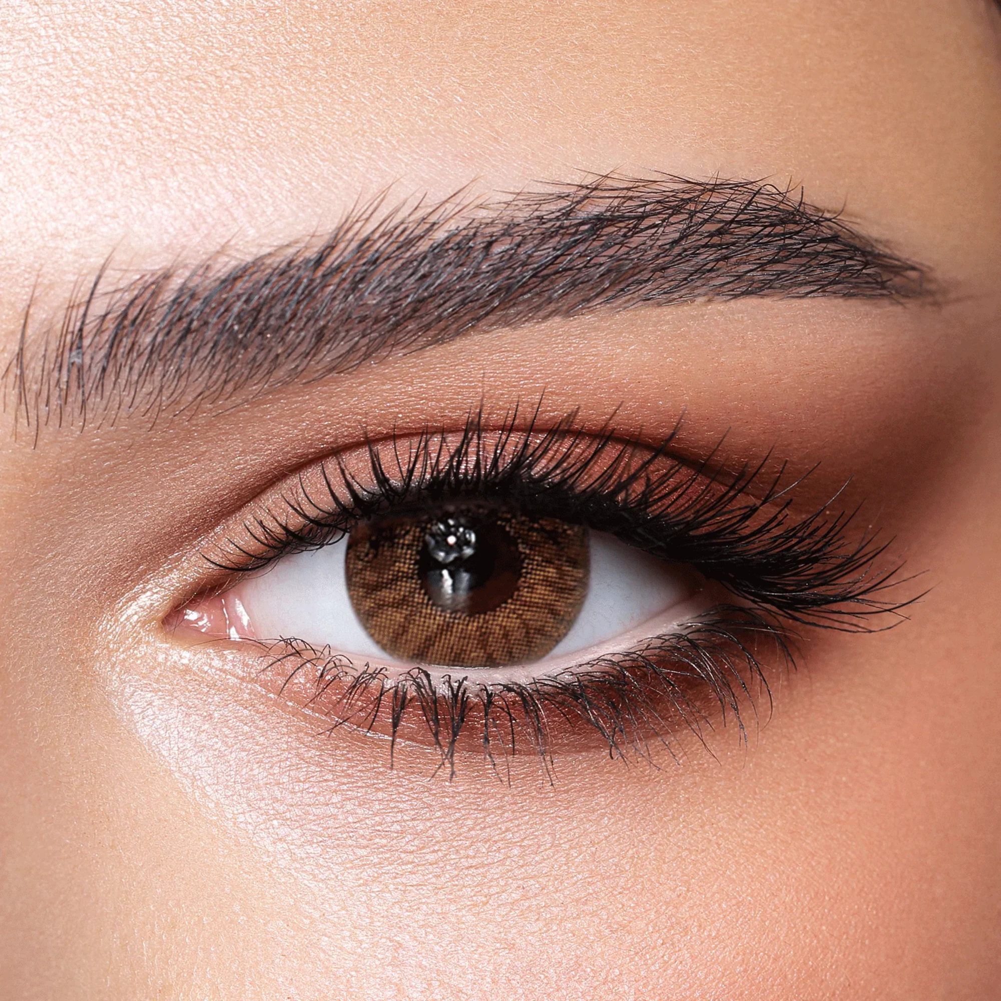 Bella color contact lenses Radiant Hazelnut