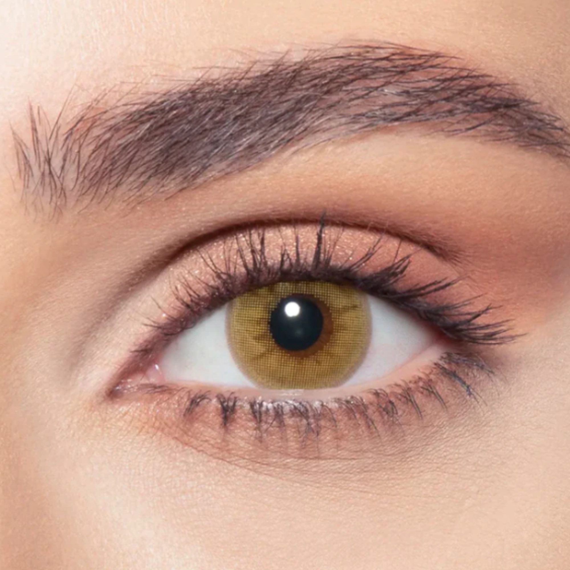 Bella color contact lenses Citrine Crystal
