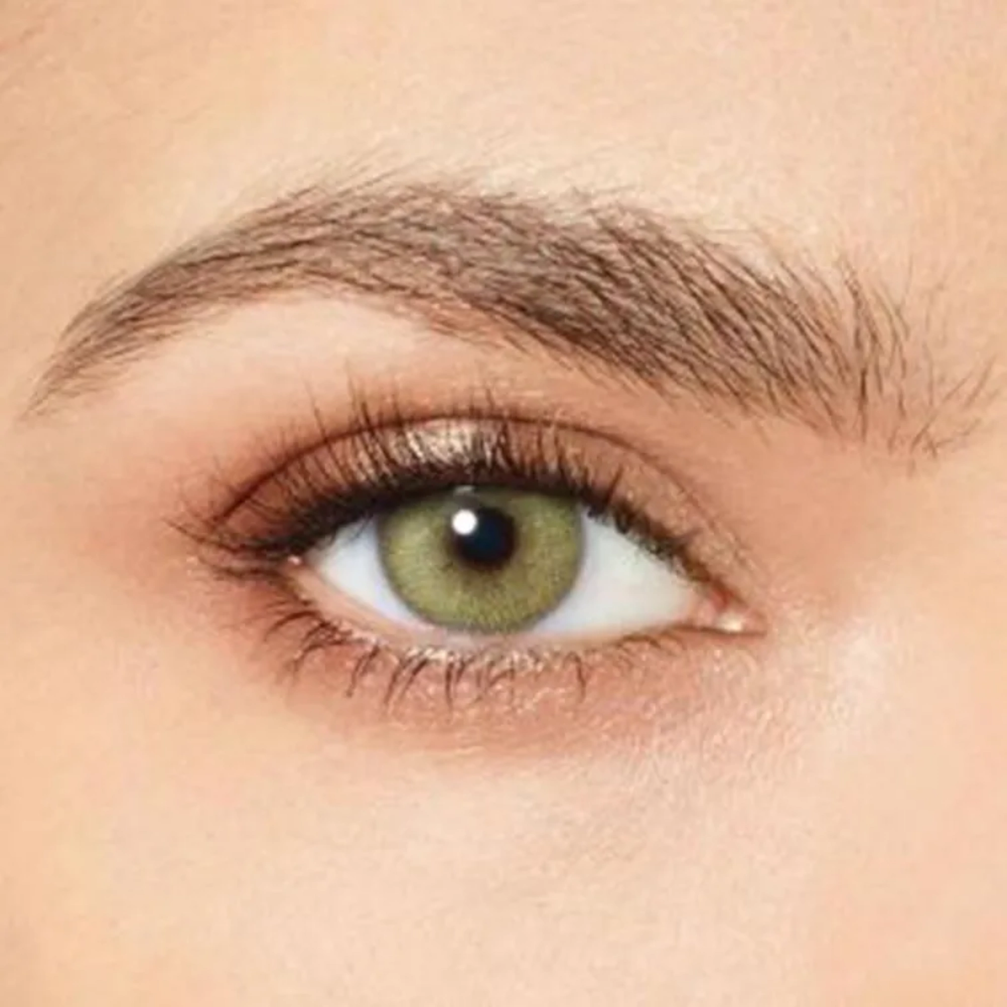 Desio contact Lenses Wild Green 5PIC