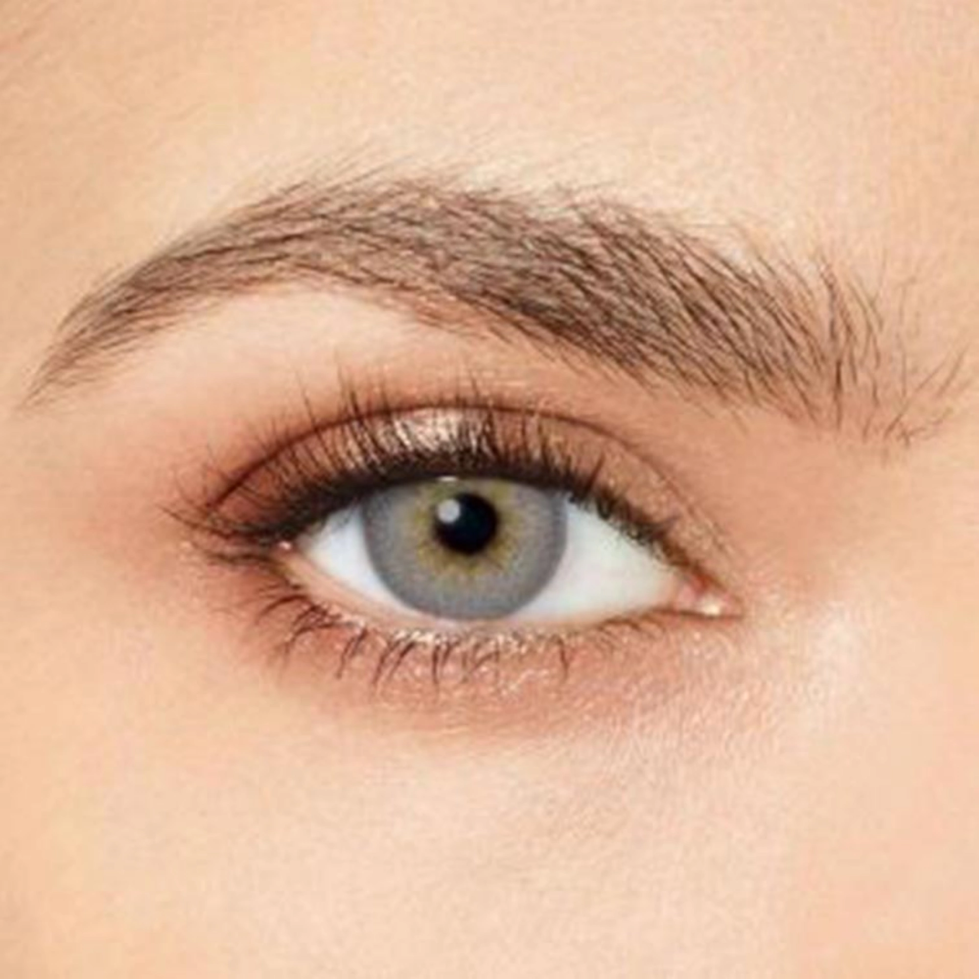 Desio contact Lenses Precious Gray