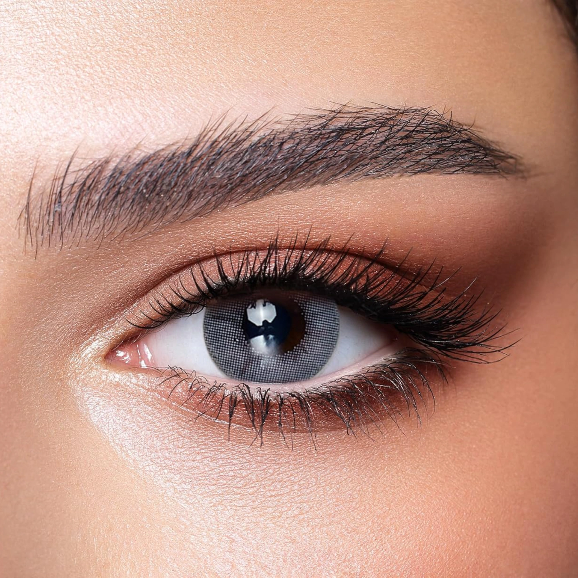 Bella color contact lenses Bluish Gray