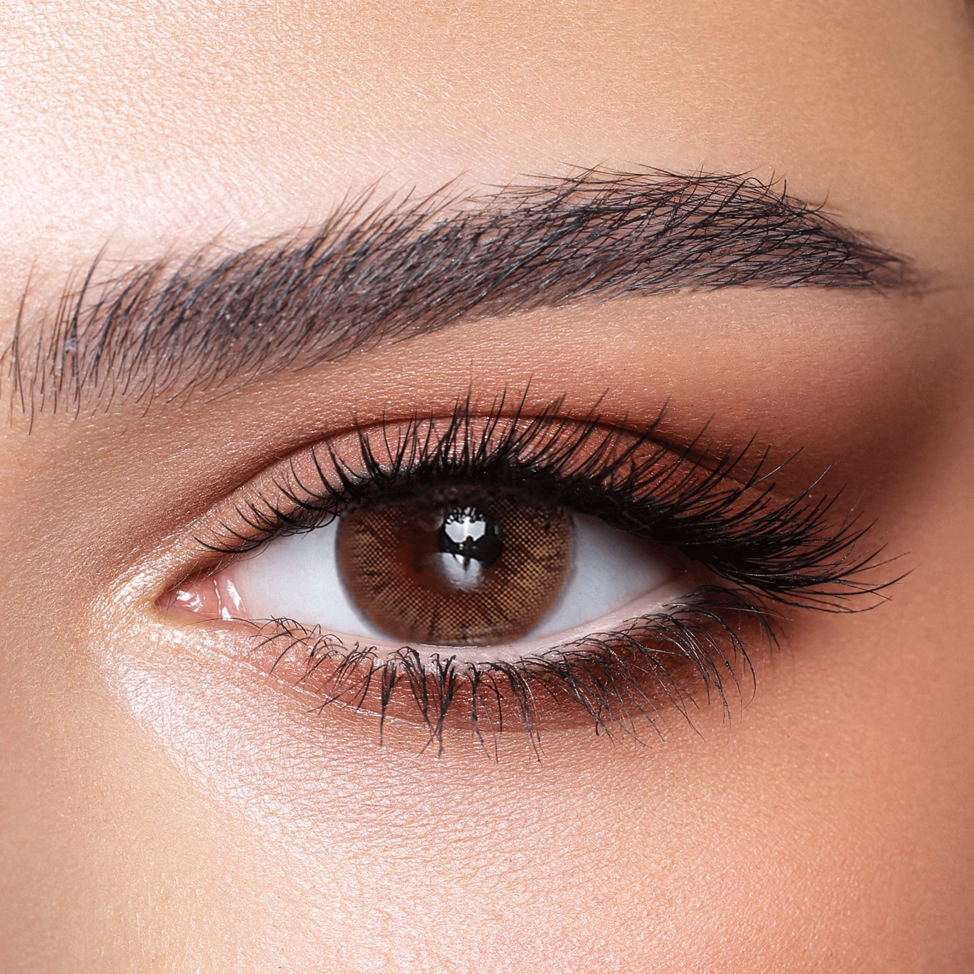 Bella color contact lenses Hazel HONEY